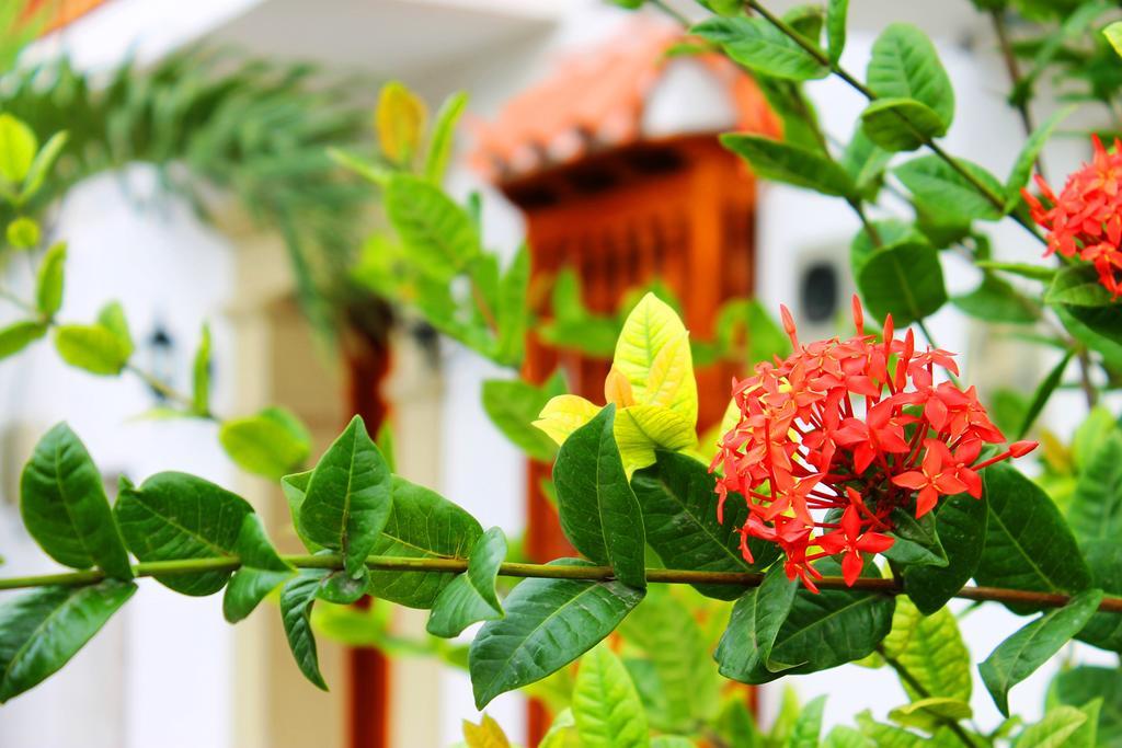 Holiday home Casa Marques Del Pedregal *