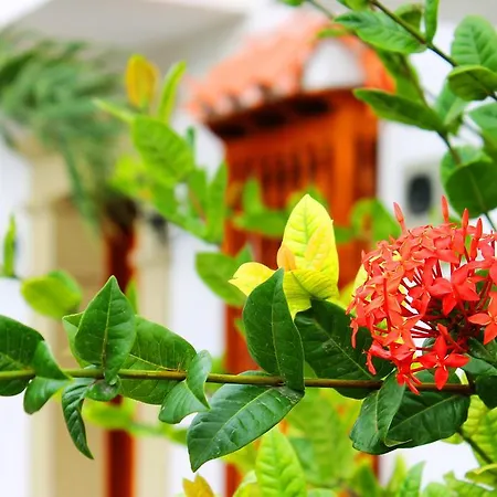 Holiday home Casa Marques Del Pedregal *